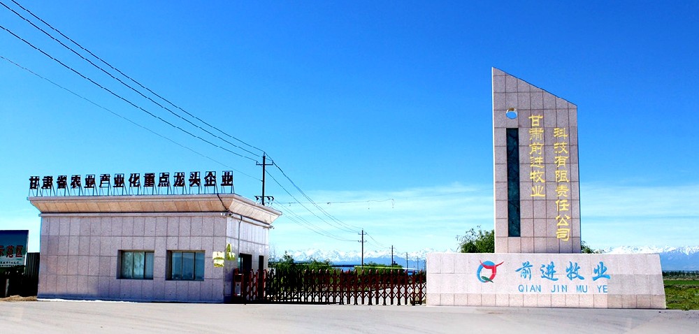 bv1946伟德官网牧业科技有限责任公司石岗墩万头牧场(bv1946伟德官网集团石岗墩牧场)