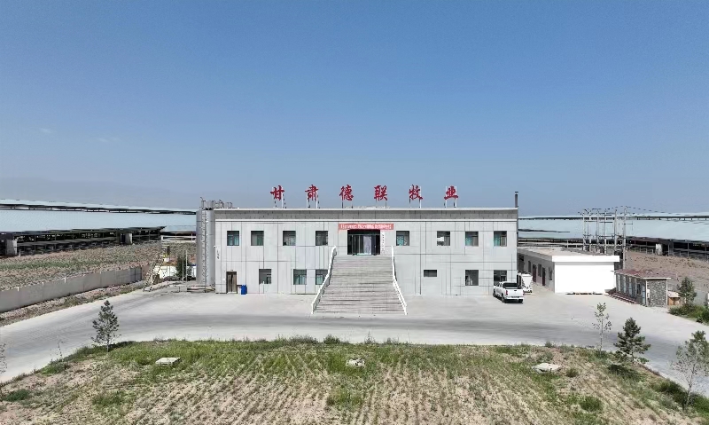 甘肃德联牧业有限公司(bv1946伟德官网集团德联牧场)
