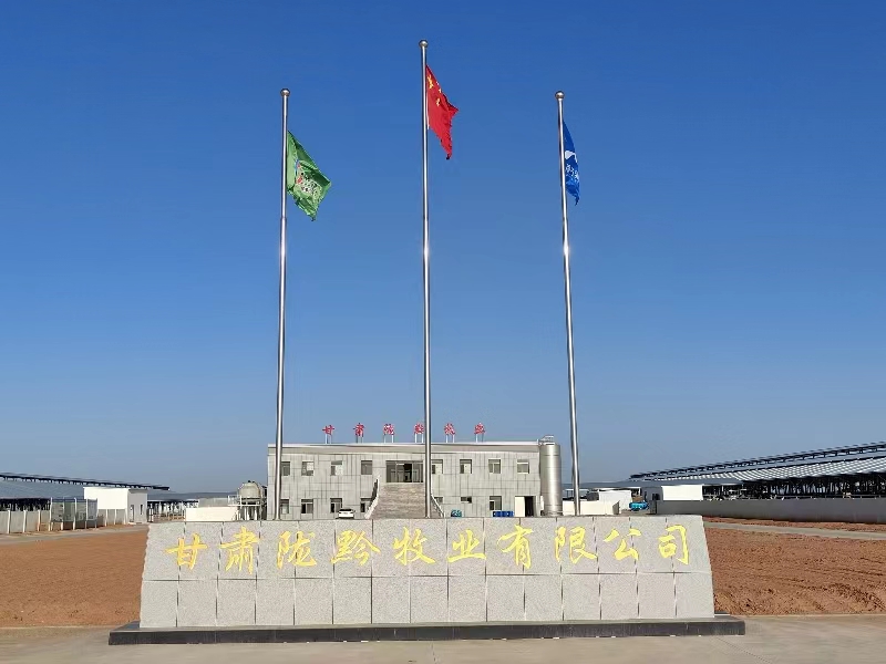 甘肃陇黔牧业有限公司(bv1946伟德官网集团陇黔牧场)