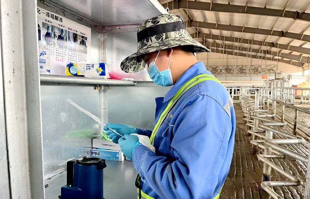 在磨砺中奋进,在历练中成长